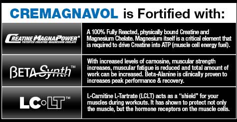 AllMAX CVOL (CreMAGnaVol)