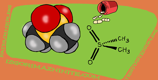 MSM (Methyl-sulphonyl-methane)