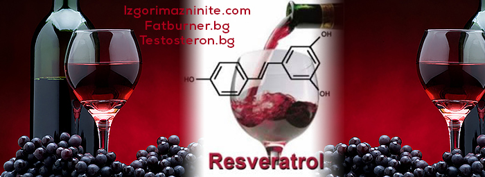 Ресвератрол (Resveratrol) - какво е това