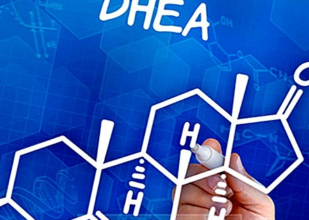 DHEA – ползи и странични ефекти