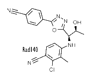 rad140 structure