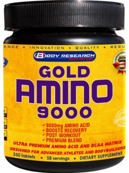 Body Research Gold AMINO 9000