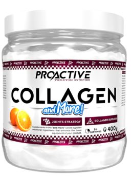 ProActive COLLAGEN and MORE - ĸoлaгeн, MSM, хондроитин