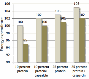 capsaicin protein weightloss diet 3