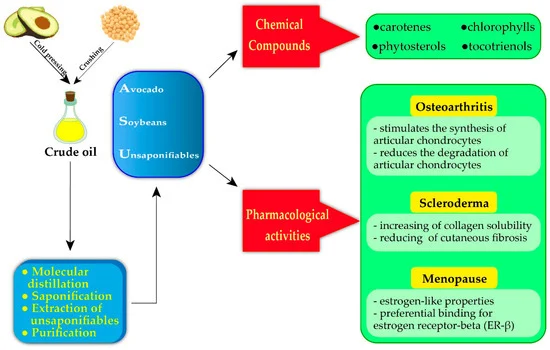 ASU (Avocado–Soybean Unsaponifiables) 1