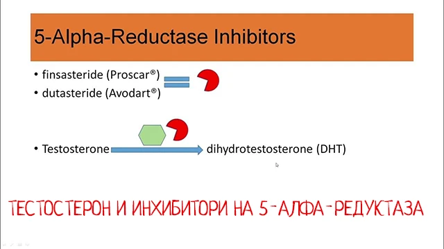 Тестостерон и инхибитори на 5-алфа-редуктаза