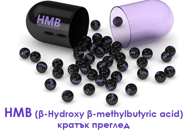 HMB (β-Hydroxy β-methylbutyric acid) - кратък преглед