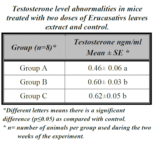 rucola and testosterone 1