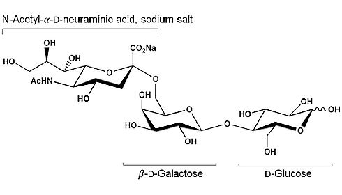 6-sialyllactose structure 1